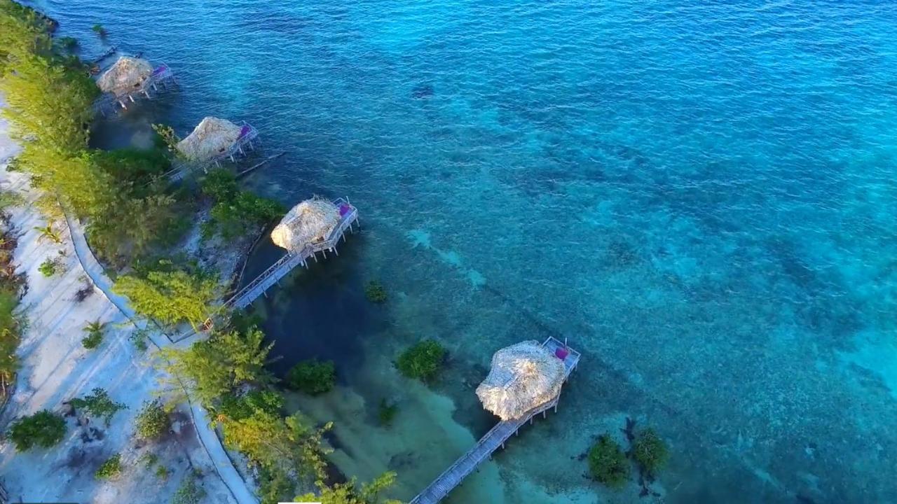 Thatch Caye Resort A Muy'Ono Resort Hopkins Exteriör bild