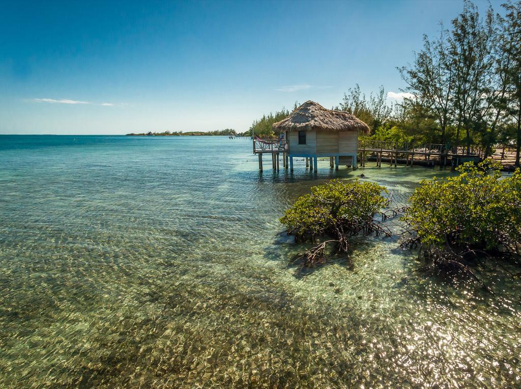 Thatch Caye Resort A Muy'Ono Resort Hopkins Exteriör bild