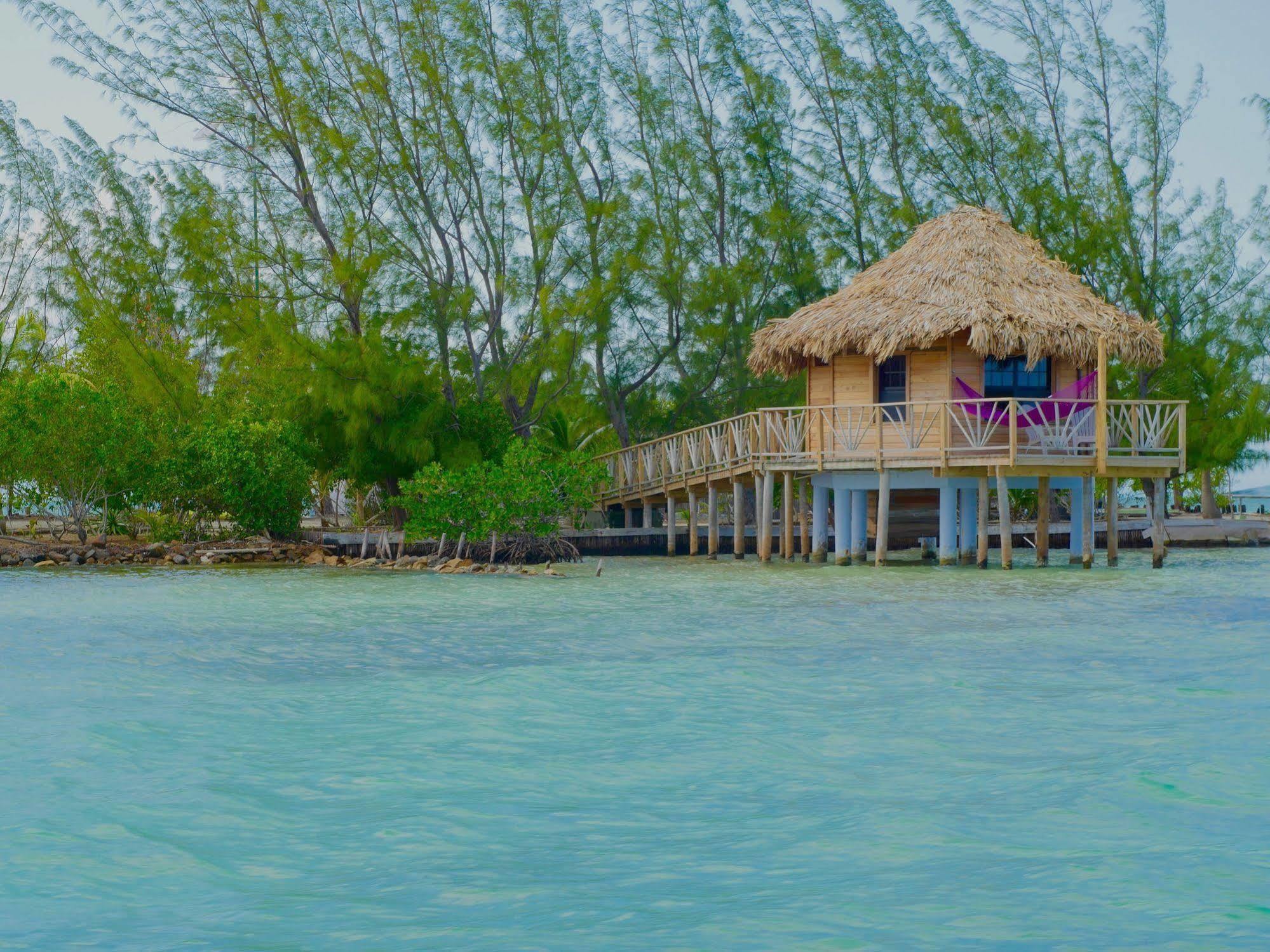 Thatch Caye Resort A Muy'Ono Resort Hopkins Exteriör bild