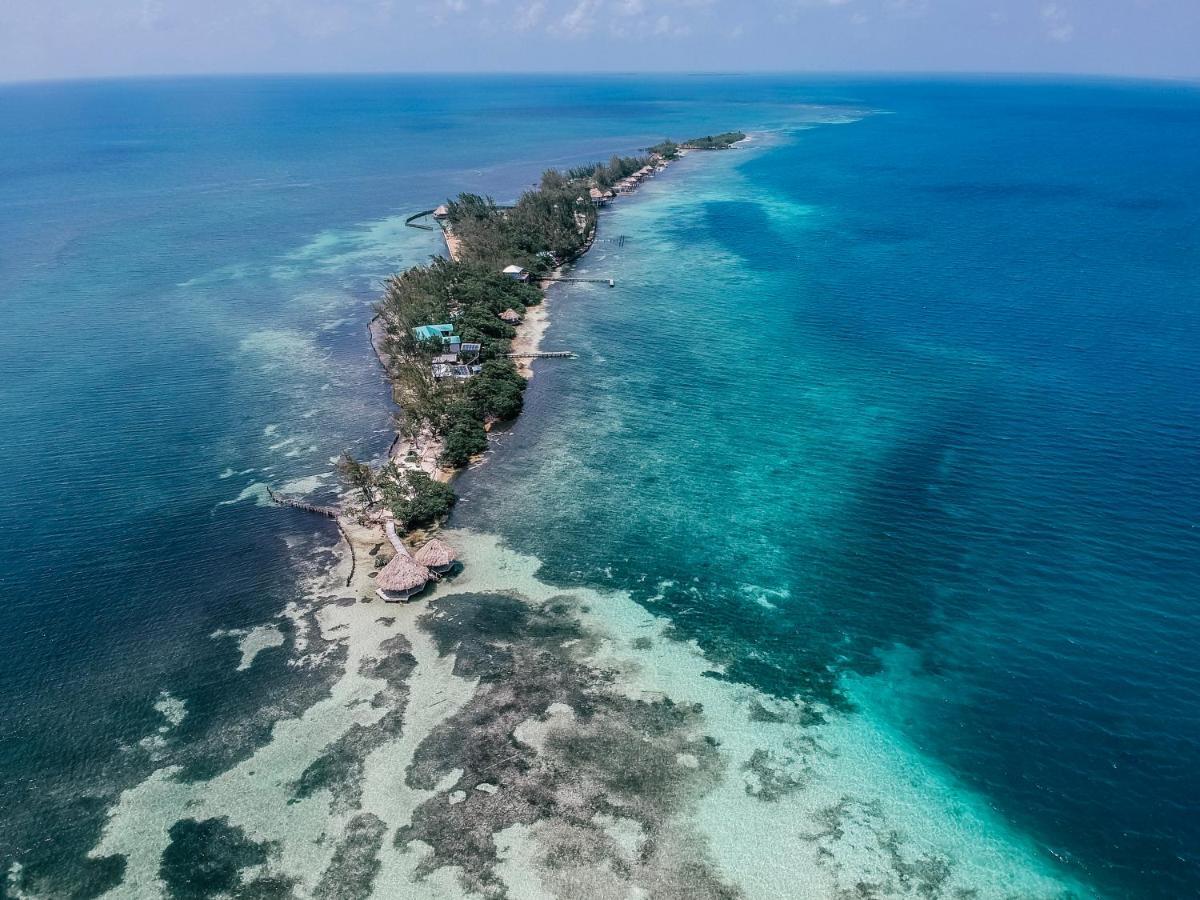 Thatch Caye Resort A Muy'Ono Resort Hopkins Exteriör bild