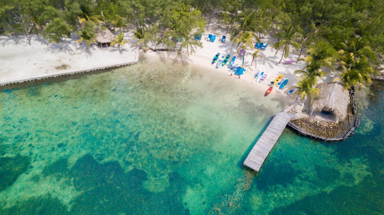 Thatch Caye Resort A Muy'Ono Resort Hopkins Exteriör bild