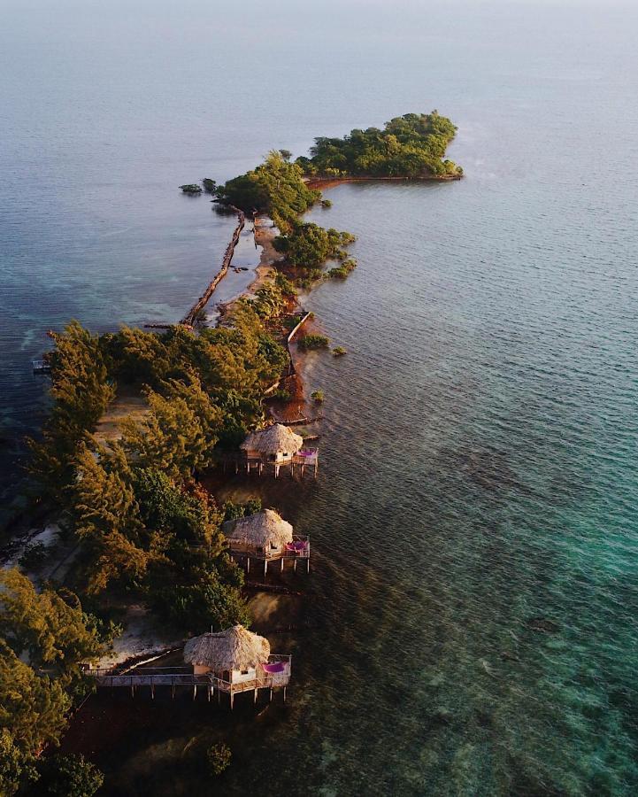 Thatch Caye Resort A Muy'Ono Resort Hopkins Exteriör bild